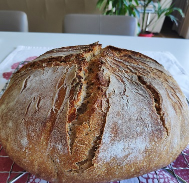 Zoom, the Internet, and Sourdough in the times of a&nbsp;Pandemic